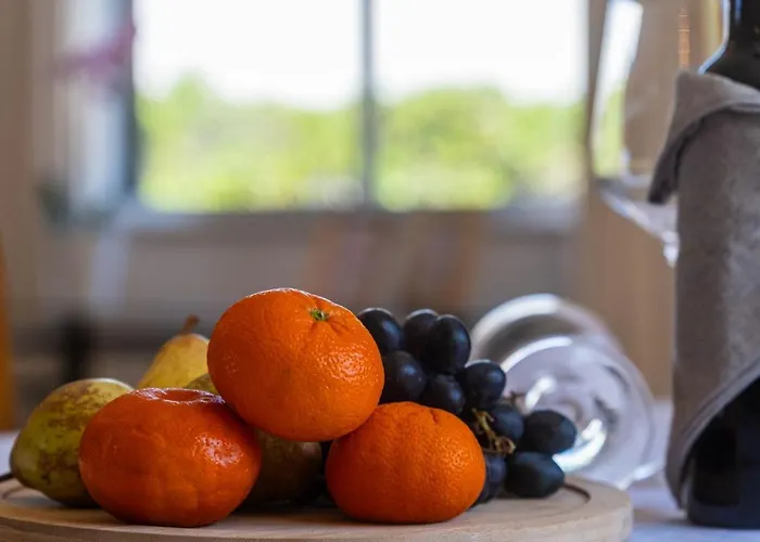 빌라 Retiro No Campo *